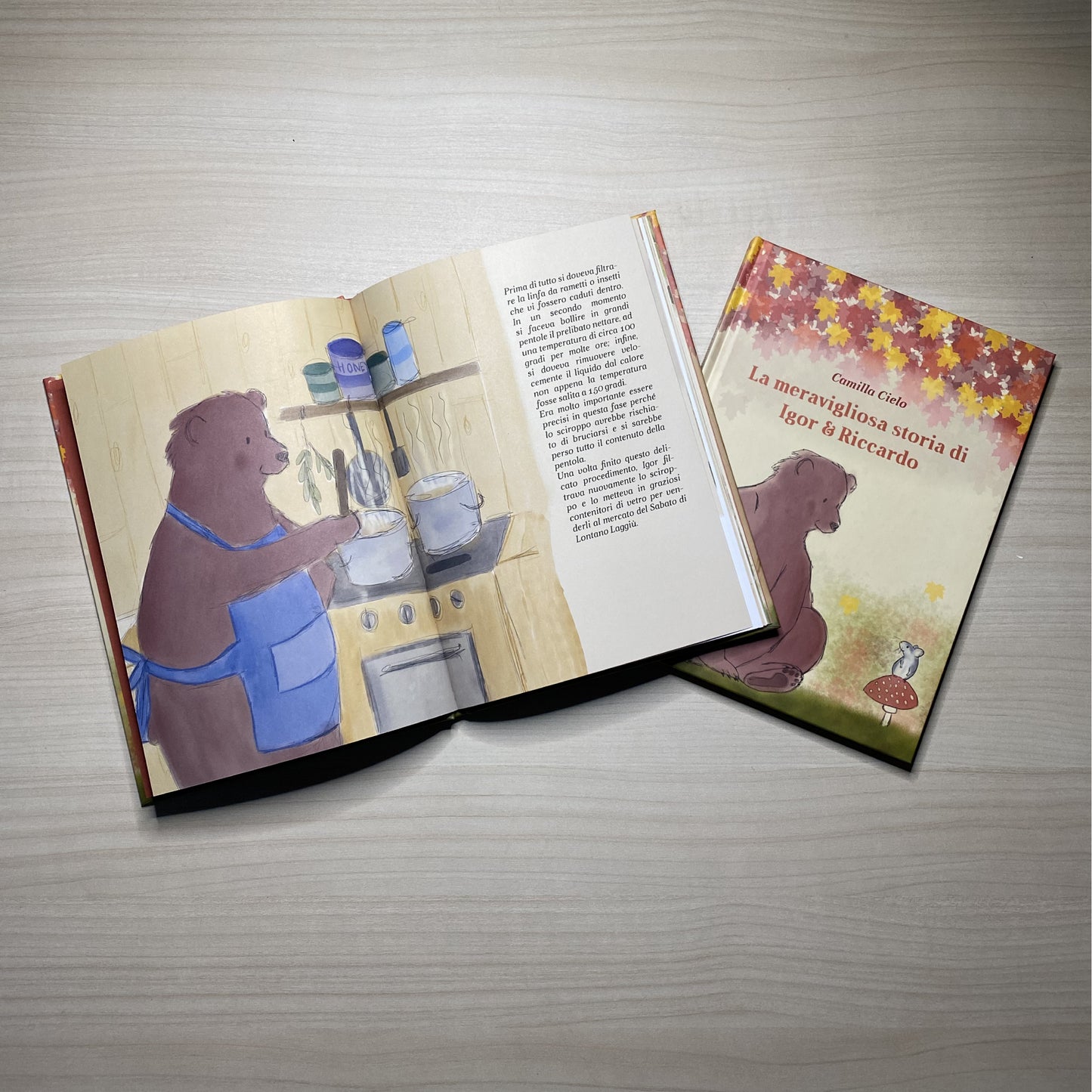 La meravigliosa storia di Igor e Riccardo - Camilla Cielo